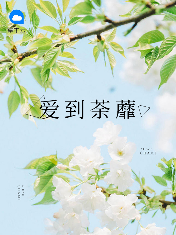 爱到荼蘼终是伤全文免费阅读