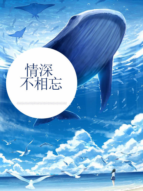 情深不相望小说