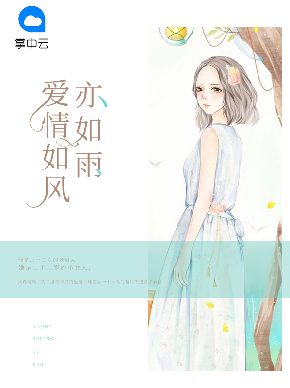 爱情如风亦如雨 小说