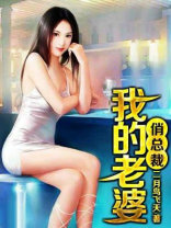 我的老婆是冰山女总裁免费阅读