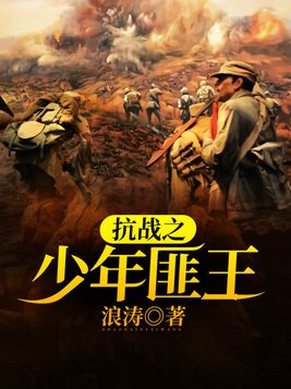 抗战之少年匪王第二部