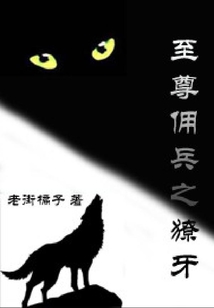 至尊雇佣兵王