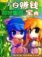 小白赚钱宝典全文免费