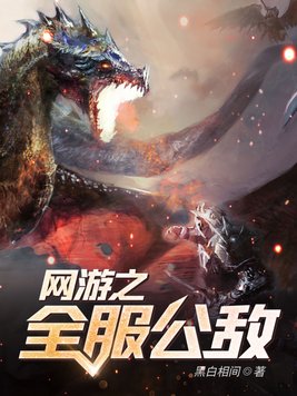 网游之全服公敌TXT
