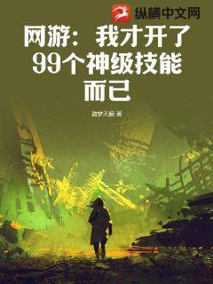 网游:我才开了99个神级技能而已txt
