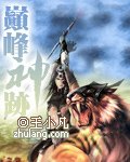 巅峰神迹 小说