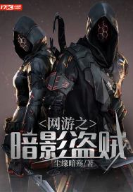 网游之暗影盗贼TXT