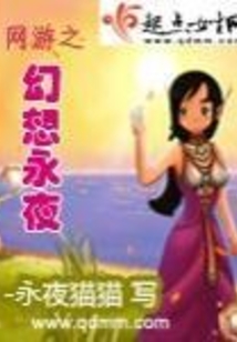 网游之幻想永夜男主