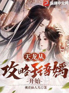 天龙从攻略王语嫣开始TXT小说免费下载