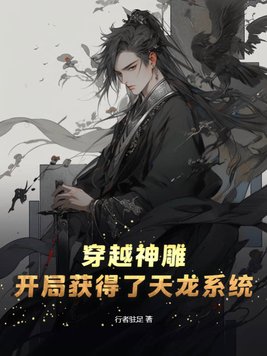穿越神雕世界的小说