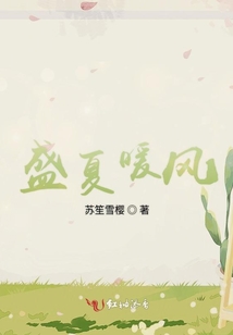 盛夏暖风,公益集市