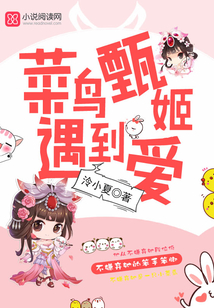 菜鸟遇到爱电视剧免费观看