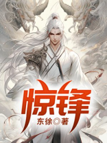 惊锋阅读体