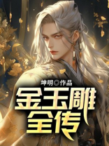 金玉雕全传 小说