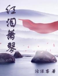 红泪萧琴内容