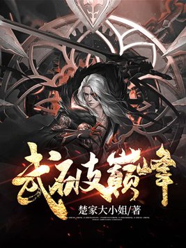 武破巅峰之林元传奇
