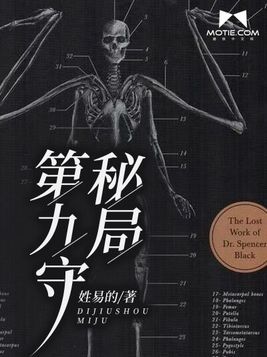 第九守秘局TXT下载