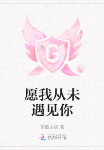 从未后悔遇见你