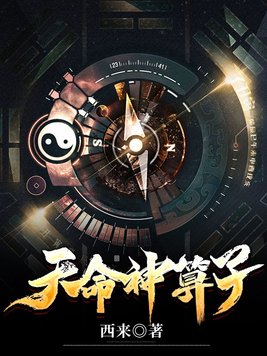 天命神算子全一