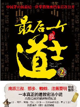 最后一个道士2道门往事有声