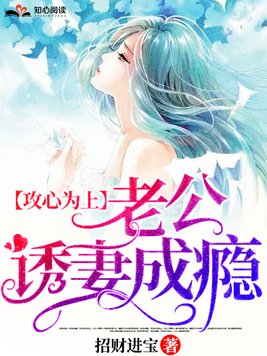 书名,攻心为上,老公诱妻成瘾