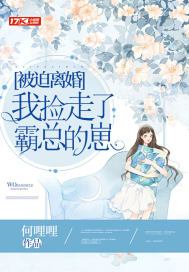 被迫离婚,我捡走了霸总的崽 何哩哩