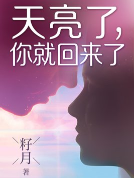 天亮了你就回来了 小说