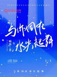 与你同在冰尖起舞 小说