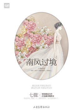 南风过境小说全文免费阅读