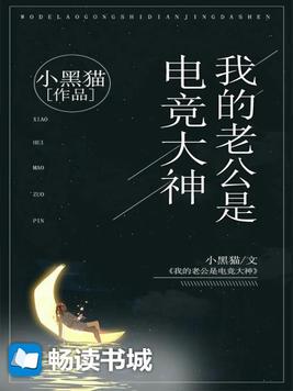 我的老公是电竞大神 小黑猫