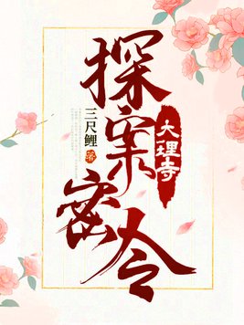 大理寺探案密令小说TxT