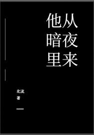 他从暗夜里来结局