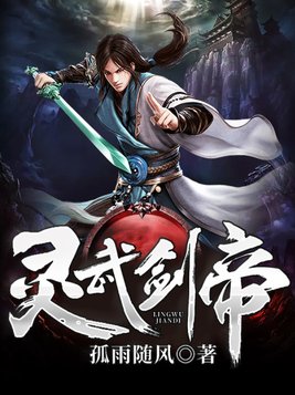 灵武剑帝孤雨随风