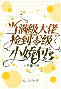 当满级大佬掉级之后小说