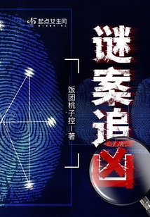 谜案追凶电视剧全集免费观看