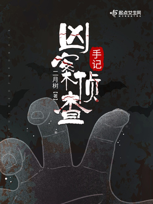 凶案侦查手记小说