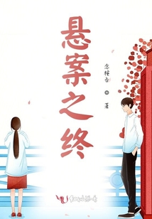 悬案之终小说