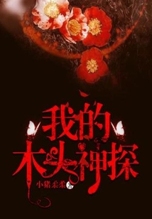 我的木头神探好看么