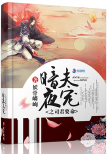 暗夜君主免费阅读