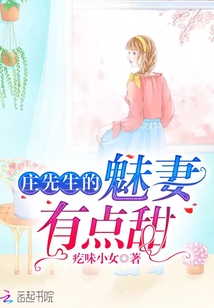 庄先生的身份