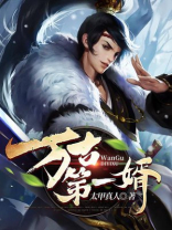 万古第一婿女主角有几个