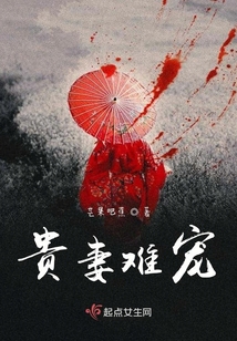 贵妻(糯糯啊)晋江