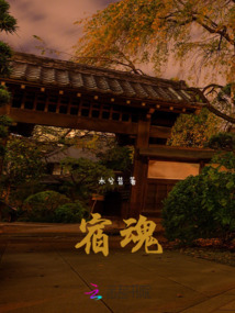 宿魂之伞所有皮肤