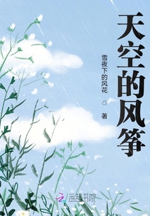 天空的风筝又什么又什么