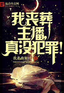 我丧葬主播,真没有犯罪!TXT下载
