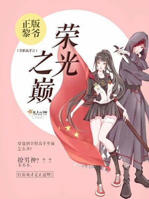 全职高手之荣光之巅小说