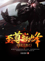 《完美至尊》 小说