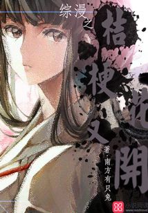 桔梗综穿