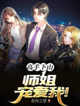 师姐下山小说