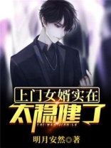 上门女婿(小说)